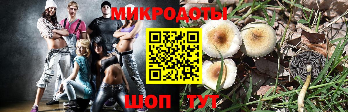 Псилоцибиновые грибы ЛСД Дмитров