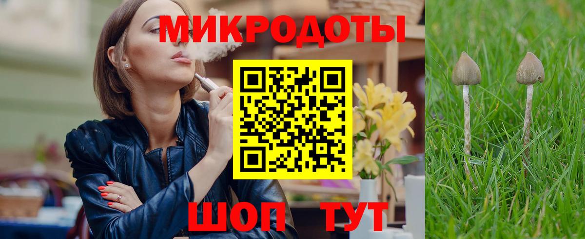 Дмитров  Галлюциногенные грибы Magic Shrooms  Вход с VPN 